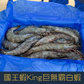 【就是愛海鮮】國王蝦King 凍鮮巨無霸極品超甜白蝦(21/25)600g±10% 如缺貨出同規格不同包裝