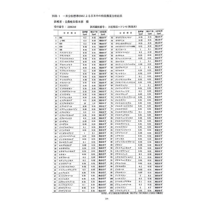 残留農薬ゼロ 米 10kg （玄米5kg×真空パック2袋）特別栽培米 ハツシモ 岐阜県産 令和4年産 精米無料 真空パック無料 送料無料