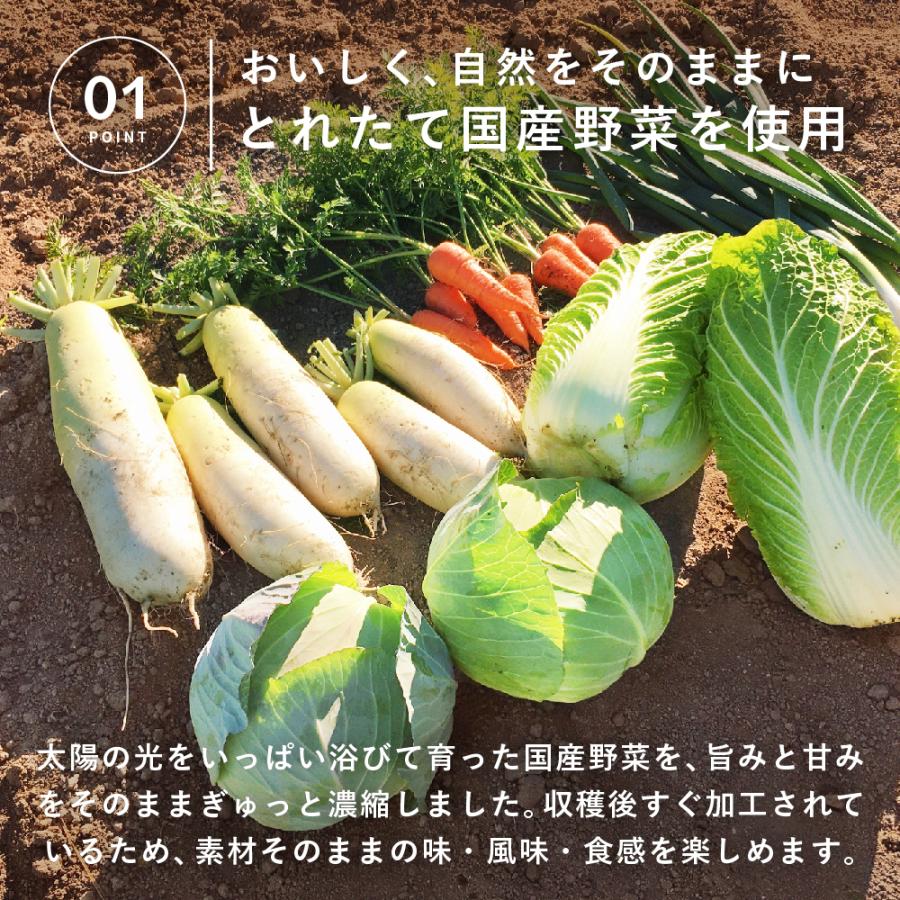 乾燥野菜 国産 DRYVEGETABLE 140ｇドライベジ ミックス 野菜 一人暮らし 常備菜 時短 味噌汁の具 キャベツ 白菜 小松菜 人参 大根 玉ねぎ