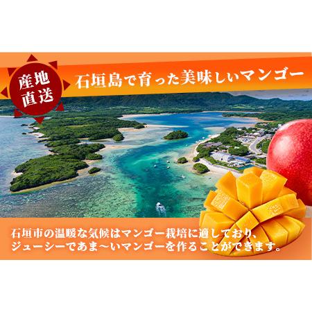 ふるさと納税 「紅福姫ブランド」石垣島のマンゴー 1kg 2?3玉【沖縄県 石垣市 産地直送 旬 石垣島産 マンゴー 完熟マ.. 沖縄県石垣市