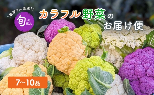 農家直送 旬の恵み カラフル野菜 お届け便 野菜 詰め合わせ 野菜セット カリフラワー コールラビ かぶ ブロッコリー 旬 セット おまかせ