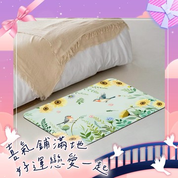 喜鵲來報 好事就到!!【命運好好玩】李玉珮-扶搖報喜鵲硅藻土地墊(2入)
