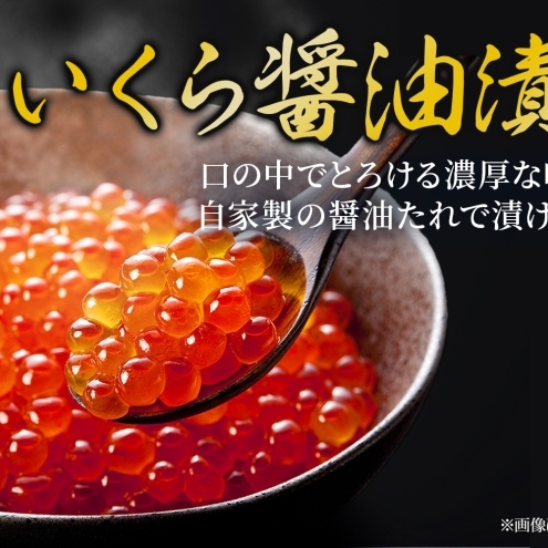 北海道産 いくら醤油漬け 200g 2パック 計400g 北海道 イクラ醤油漬け 小分け いくら 国産 イクラ 海鮮 魚介 魚卵 海産物 醤油漬け 鮭いくら 新鮮 寿司 刺身 お取り寄せ グルメ ご褒