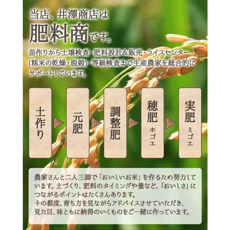 新米入荷／ 米 玄米 30kg ヒノヒカリ玄米/白米・小分け選択可 厳選農家