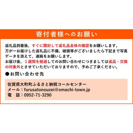 ふるさと納税 佐賀県産いちごさん440g（220g×2パック）KI0001 佐賀県大町町