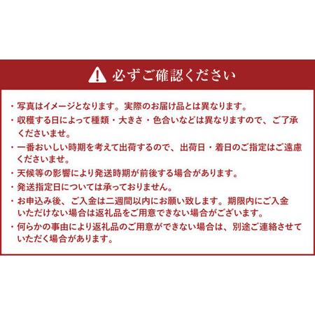 ふるさと納税 新じゃが きたあかり 約10kg 北海道北広島市