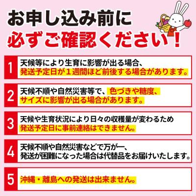 ふるさと納税 福島市 もも さくら白桃 約3kgNo.2577