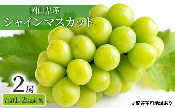 シャインマスカット 2房 合計1.2kg前後 岡山県産 葡萄 ぶどう 果物 フルーツ 2023年 先行予約