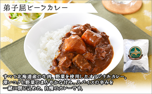 507.ビーフカレー 10個 セット 中辛 牛肉 業務用 レトルトカレー 備蓄 まとめ買い 北海道 弟子屈町