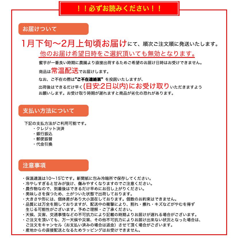 まるで天然のスイーツ　鹿児島県産サツマイモ「林作蜜芋」約3kg