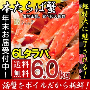 タラバガニ たらば蟹 脚 足 ボイル 極太 6L (5肩6kg) 冷凍 北海道加工 たらば蟹 送料無料 かに ギフト プレゼント お買い得