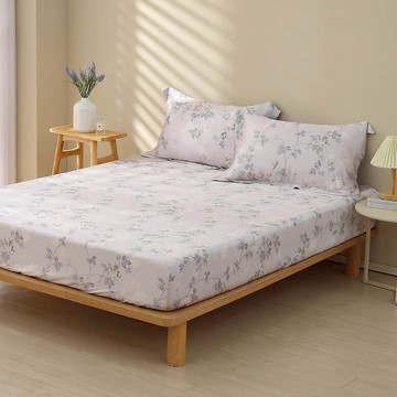 鴻宇 床包枕套組 天絲萊賽爾 300織 梓丹 台灣製T20193