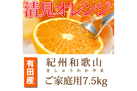 紀州有田産清見オレンジ　７.５kg ※2024年3月下旬頃～4月下旬頃に順次発送予定