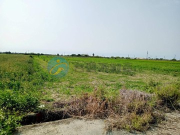 佳里興方正5米路農地｜台南市佳里區禮化段