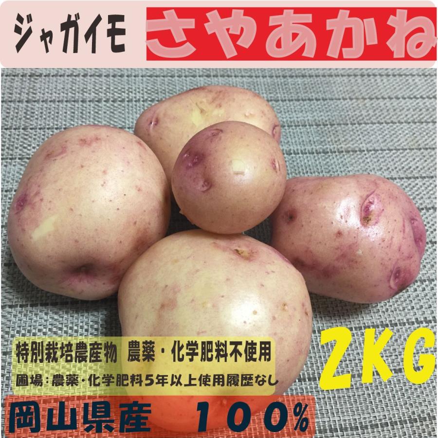 特別栽培農産物　旬野菜　新じゃが　さやあかね　LINEショッピング　２kg　西日本　無農薬ジャガイモ　岡山県産　ジャガイモ　２０２3年