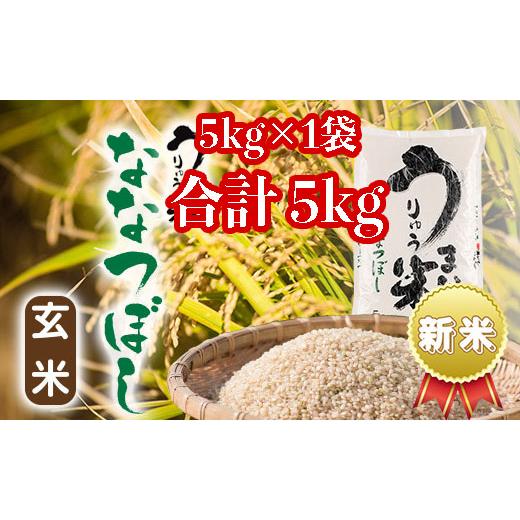 ふるさと納税 北海道 雨竜町 産うりゅう米ななつぼし玄米5kg×1袋