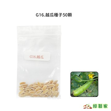 G16.越瓜種子50顆(青醃瓜.青綠色皮.果粗長.產量豐)果菜類種子【綠藝家】