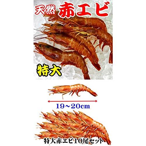 海鮮バーベキュー ホタテ・特大赤エビセット 2種20品 冷凍 片貝ホタテ10枚 天然特大赤エビ10尾