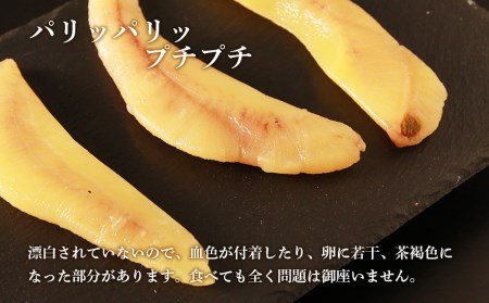 ≪白老前浜産≫塩数の子一本物300ｇ×2〈斉藤水産〉