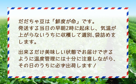 数量限定朝採りだだちゃ豆 1.5kg 500g (500g×4袋) 枝豆　小池半左衛門