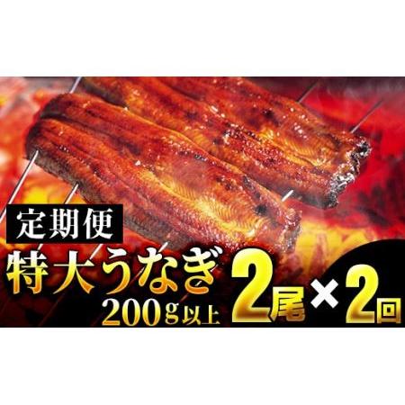 ふるさと納税 特大！！ふっくら肉厚！！特選うなぎ2尾を2回お届け♪YS0003 佐賀県大町町