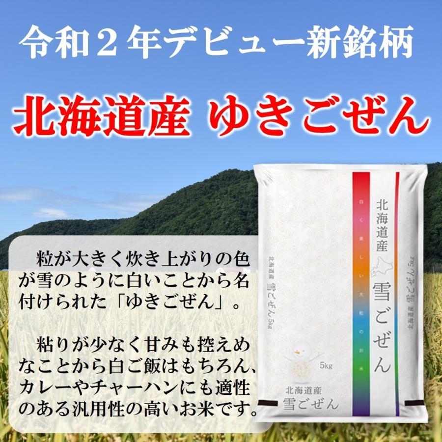 新米 お米 ゆきごぜん 北海道産 10kg 令和5年産