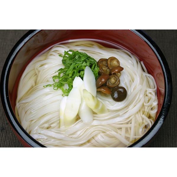 稲庭うどん 紙箱入り めんつゆ付き5人前 稲庭屋