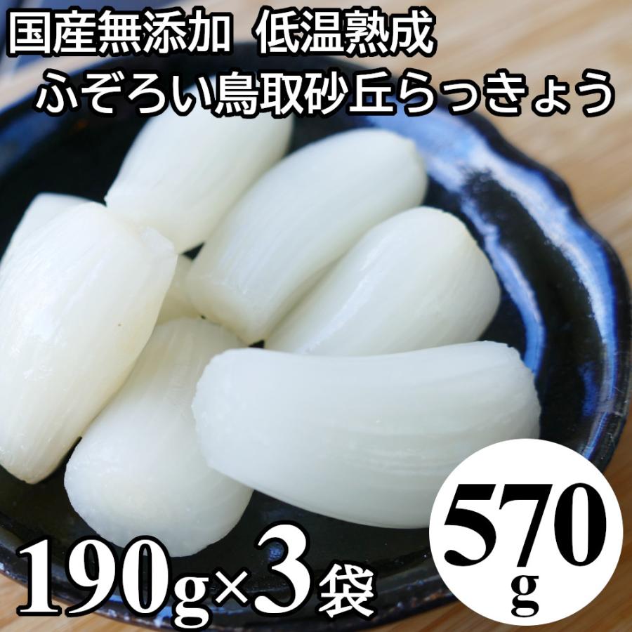 らっきょう 国産 570g (190gx3袋) 無添加 低温熟成 鳥取 ふぞろい らっきょう漬け 国産 ラッキョウ漬け 甘酢漬け 漬物