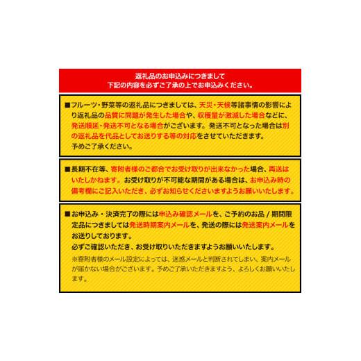 ふるさと納税 和歌山県 紀の川市 観音山熟れ熟れ桃（川中島白桃）2kg 有限会社柑香園《2024年7月下旬-8月上頃より順次出荷》和歌山県 紀の川市 フルーツ 果物 …