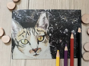 宇宙貓星人-神秘星海