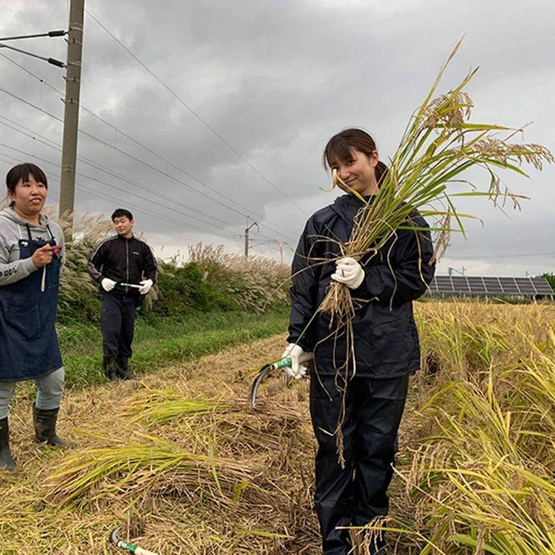 水菜土農園無洗米新米 令和4年産 秋田県産 あきたこまち 25kg (5kg×5袋) 古代米お試し袋付き