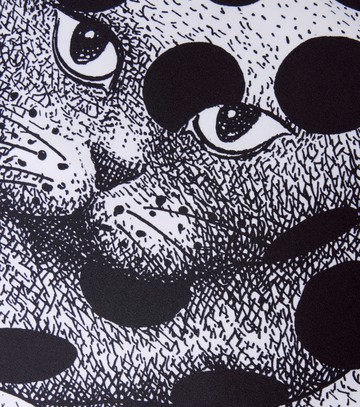 Fornasetti High Fidelity printed silk cushion