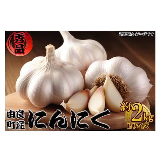 ふるさと納税 和歌山県 由良町 由良町産にんにく 秀品  Ｌサイズ  約2kg(1kg×2)