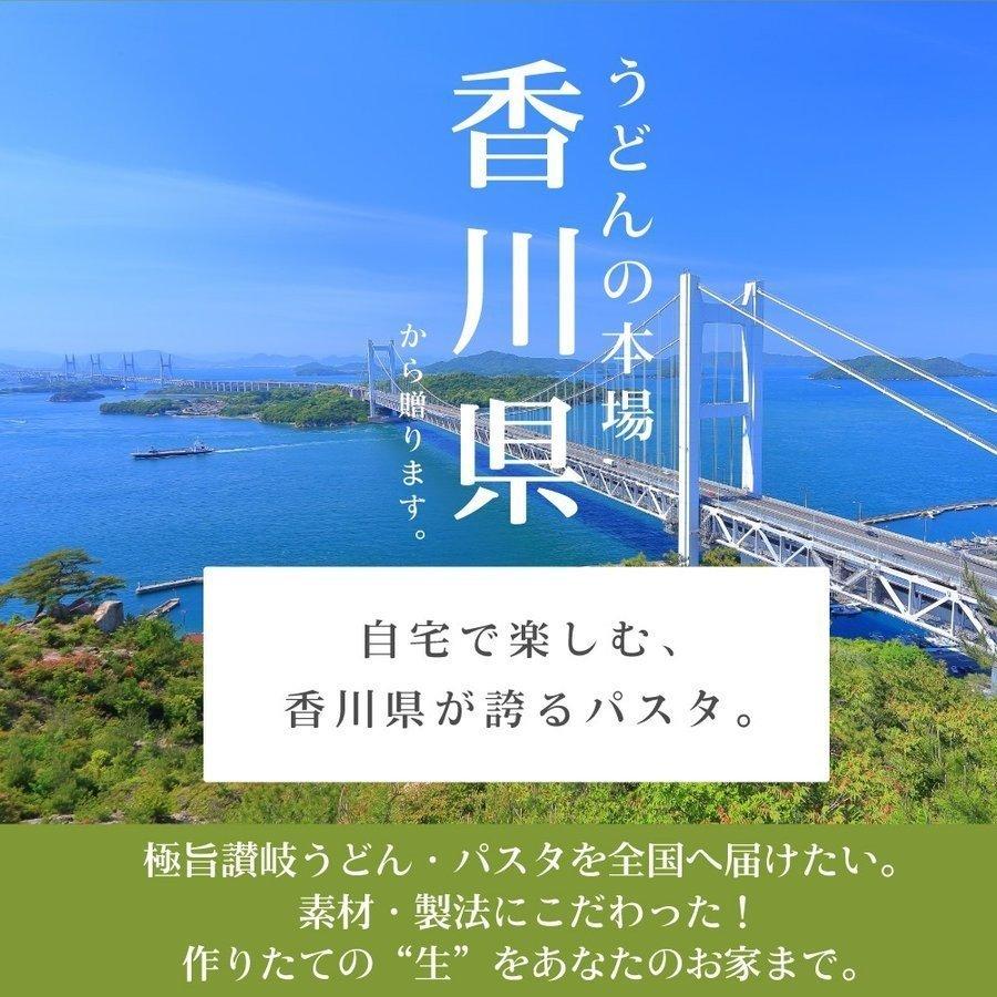 生パスタ パスタ 送料無料 4種から選べる 讃岐の生パスタ 6食 麺のみ 食品 セット ポイント消化 お試し パスタ フェットチーネ リングイネ スパゲティ