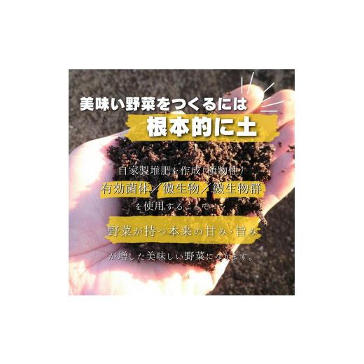 ふるさと納税 茨城県 鉾田市 紅はるかのしっと〜り焼き芋　500g×4袋　計2kg