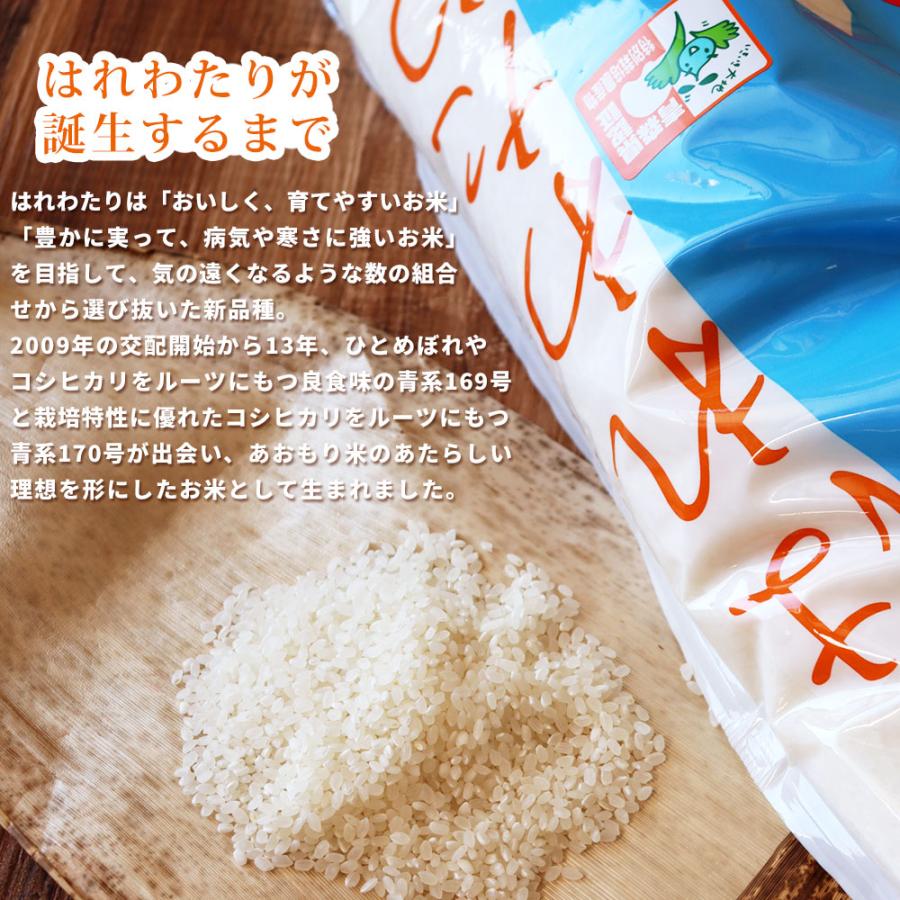 青森県産 はれわたり 米2023年度産 [※SP]
