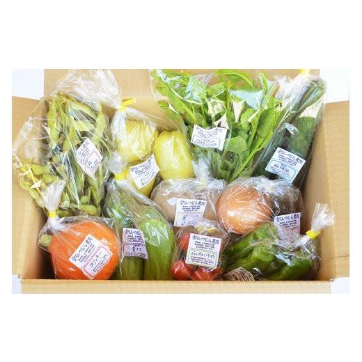 ふるさと納税 長崎県 雲仙市 季節の旬野菜セット 6〜10品種 詰め合わせ 産地直送   雲仙つむら農園   長崎県雲仙市