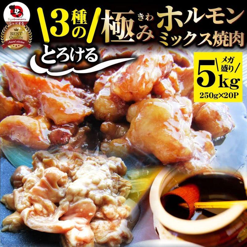 3種のとろける 極み ホルモンミックス焼肉 5kg（250g×20）