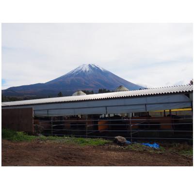 ふるさと納税 富士河口湖町 富士山黒牛 肩ロースすき焼き用 550g