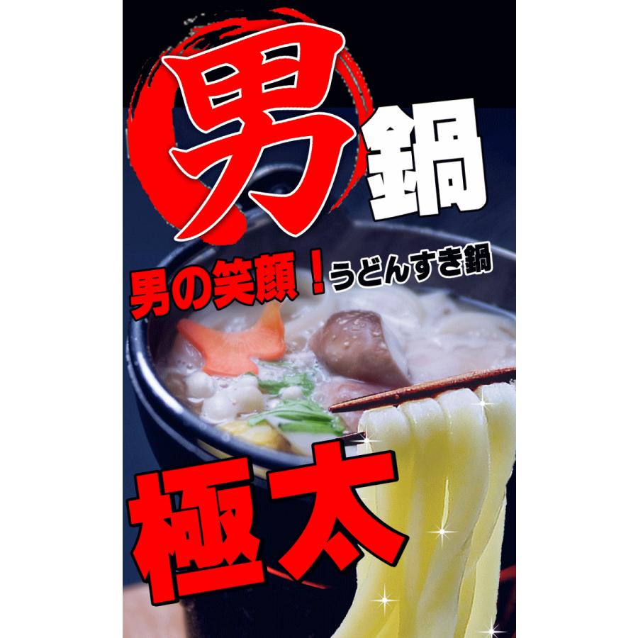 送料無料 うどん 男の 極太 麺 4人前セット完熟 半生 讃岐うどん ネコポス お試し 讃岐 送料無 食品 激安 さぬきうどん お取り寄せ