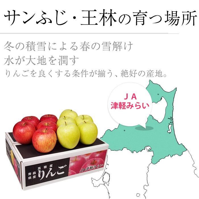 りんご 青森県産 サンふじ 王林 MIX 特A 約3kg 9〜12玉