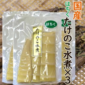 国産 たけのこ水煮150g×3袋 水煮野菜 たけのこ タケノコ 筍 竹の子 生たけのこ ハチク はちく 淡竹