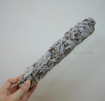 驅除負能量 療癒 治療 白鼠尾草