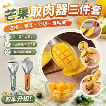 【台灣現貨】切片器 切片機 芒果取肉器 取肉 芒果刀 去皮去核 水果刀 水果刀具組 不鏽鋼 三件套