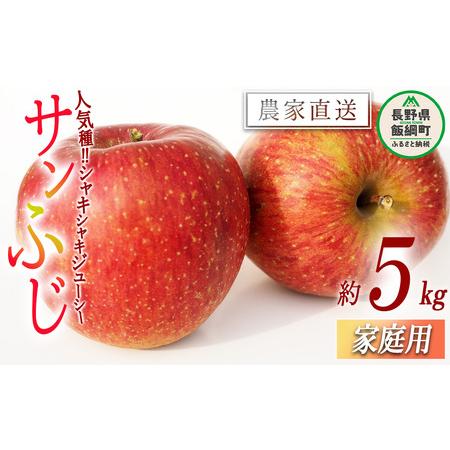 ふるさと納税 りんご サンふじ 家庭用 5kg 平井隆二 沖縄県への配送不可 2023年12月上旬頃から2023年12月下旬頃まで順次発送予定 令和5年度収穫.. 長野県飯綱町