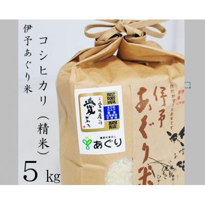 ふるさと納税 松前町 ★令和5年産発送★　伊予あぐり米「コシヒカリ」(精米5kg)