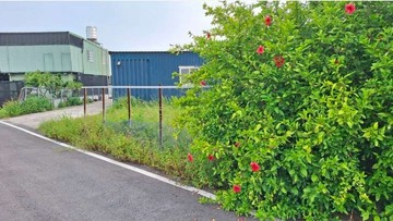 新屋區下田心子段農地(有鐵皮屋)｜桃園市新屋區下田心子段員笨小段