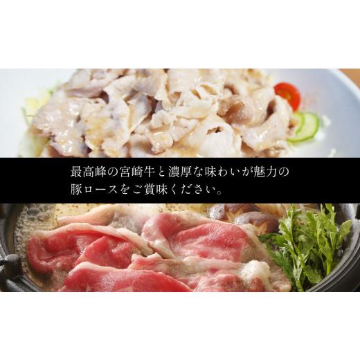 ふるさと納税 宮崎県 新富町 ＜すき焼き・しゃぶしゃぶ＞宮崎牛ウデスライス＆宮崎県産豚ロースセット（各500g）※2024年2月より順次出荷