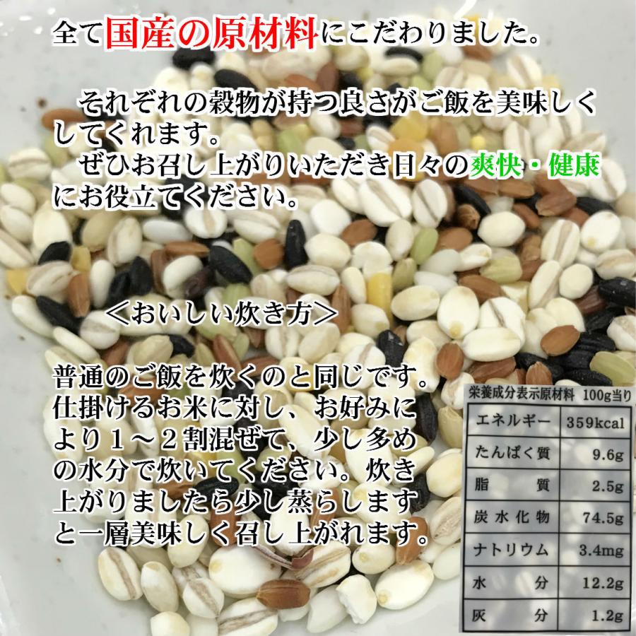 国産 十穀米270g×2 国内産雑穀100％使用もち米、丸麦、押し麦、緑米、黒米、赤米、挽き割り大豆、挽き割り小豆、もちきび、そば米（…