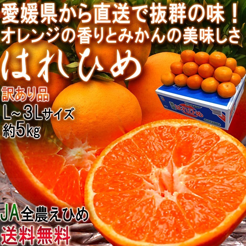 産地直送　約5kg　はれひめ　愛媛県産　L～3Lサイズ　訳あり品　オレンジの香りに蜜柑の味わい！愛媛直送の新鮮なタンゴール　LINEショッピング